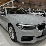 BMW 5 Series (Import) 2019 из Китая