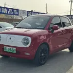 Ora Ora Black Cat 2020 из Китая