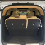 Denza Denza D9 2024 из Китая
