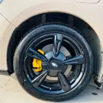 Ora Ora Good Cat 2022 из Китая