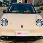 Ora Ora Good Cat 2022 из Китая