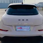 Ora Ora Good Cat 2022 из Китая