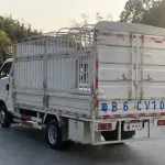 Kuayue Kuayue D5 2023 из Китая