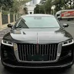 Hongqi Hongqi H9 2020 252 л.с. из Китая