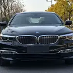 BMW 5 Series 2018 252 л.с. — лот 57523094 из Китая