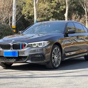 BMW 5 Series 2019 252 л.с. — лот 57522896 из Китая