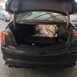 Cadillac CT5 2024 237 л.с. из Китая