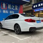 BMW 5 Series 2019 из Китая