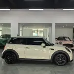 MINI Mini 2022 из Китая