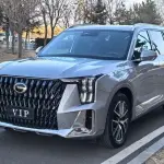 GAC Motor Trumpchi GS8 2022 из Китая