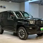 Tank Tank 700 New Energy 2024 из Китая