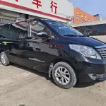 Fengxing Lingzhi PLUS 2021 из Китая