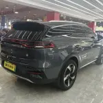 BYD Tang New Energy 2023 из Китая