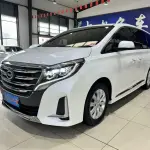 GAC Motor Trumpchi M8 2020 из Китая