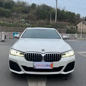 BMW 5 Series (Import) 2021 из Китая
