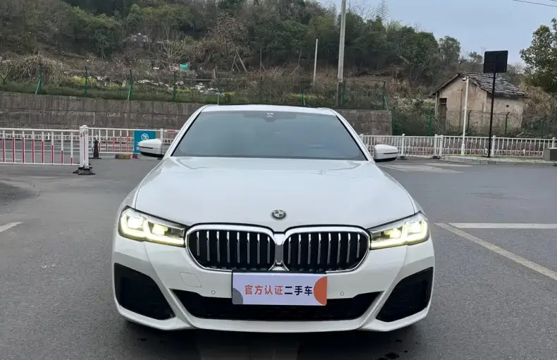 BMW 5 Series (Import) 2021 из Китая