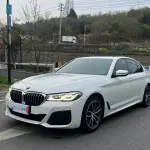 BMW 5 Series (Import) 2021 из Китая