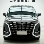 Denza Denza D9 2024 из Китая