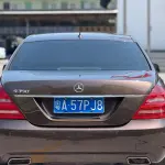Mercedes-Benz S-Class 2010 из Китая