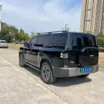 Fang Cheng Bao 钛7 2025 из Китая