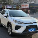 Toyota Wildlander 2021 из Китая
