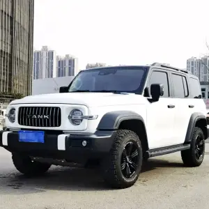 Tank Tank 300 2023 из Китая