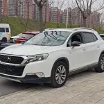 DS DS 6 2016 из Китая