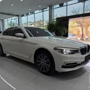 BMW 5 Series (Import) 2019 из Китая