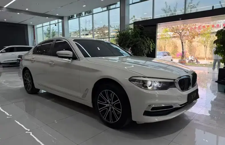 BMW 5 Series (Import) 2019 из Китая