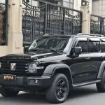 Tank Tank 300 2023 из Китая