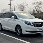 Buick GL8 2019 из Китая