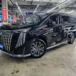GAC Motor Trumpchi M8 2024 из Китая