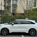 Honda Avancier 2018 из Китая