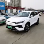 BYD Pro New Energy 2026 из Китая