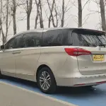 Buick GL8 2017 из Китая