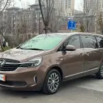 Buick GL8 2021 из Китая
