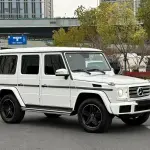 Mercedes-Benz G-Class 2019 из Китая