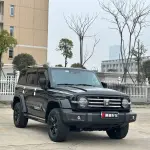 Tank Tank 300 2023 из Китая