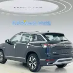 Volkswagen Tayron из Китая