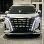 Denza Denza D9 2023 из Китая