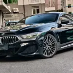 BMW 8 Series 2020 из Китая