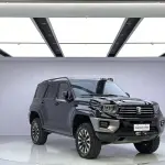 Tank Tank 700 New Energy 2024 из Китая