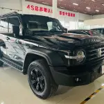 Tank Tank 300 2024 из Китая