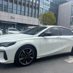 GAC Motor Shadow Leopard 2024 из Китая