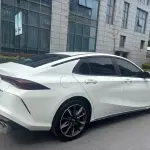 GAC Motor Shadow Leopard 2024 из Китая