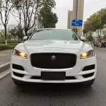 Jaguar F-PACE 2019 из Китая