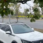 Peugeot 2008 2021 из Китая