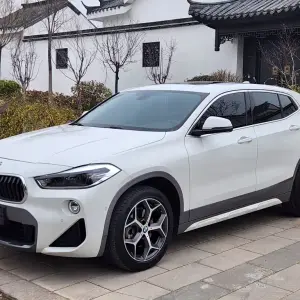 BMW X2 (Import) 2019 из Китая