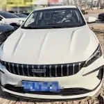 Geely Binrui 2026 из Китая