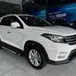 Fengguang Fengguang S560 2020 из Китая